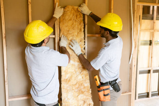 Best Home Insulation Services  in Valley Forge, TN